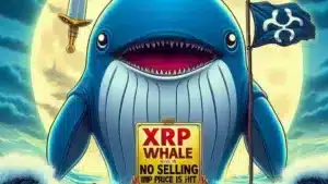 XRP investor strategy