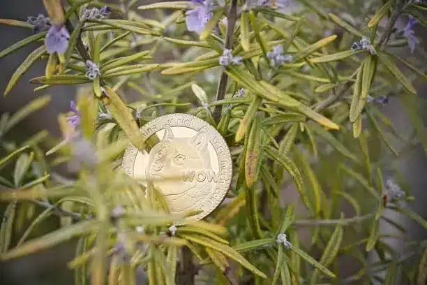 dogecoin-pret-pour-un-bond-a-5-dollars-avec-le-lancement-dun-etf-og-1758235155