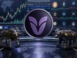 Daily crypto market movers featuring Velvet