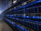 Bitcoin Holds Ground as May CPI Energy Spike Rattles Altcoin Markets