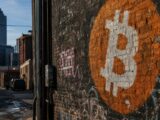 Traditional Finance Advisers Want Stablecoins and Tokenization, Not Bitcoin, Bitwise Says