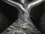 XRP Analyst CharuSan Sees $300 on Institutional Liquidity Demand, Not Market Cap
