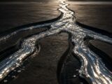 XRP Eyes 25% Surge as Death Cross and Liquidation Signals Collide