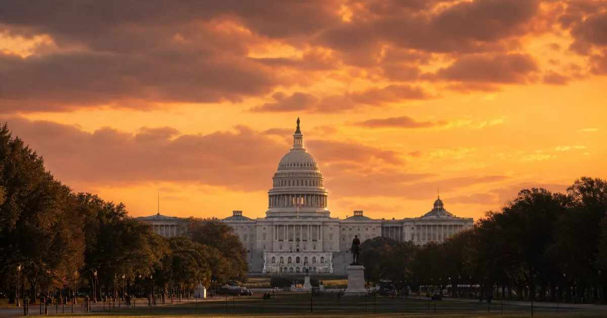 5 Senate Democrats Demand Hearings on Trump's UAE Crypto Ties