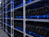 Long-Term Bitcoin Holders Now Grip 84% of Supply While Short-Term Coins Vanish