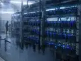Un mineur solo gagne 3,14 bitcoins avec un appareil à 150 dollars