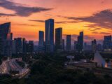 Brazil's B3 Tokenizes Cattle for a $19,600 Loan as Blockchain Reaches the Farm