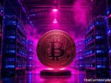 Ether ETFs Pull In $216 Million as Bitcoin Funds Bleed $463 Million in a Week